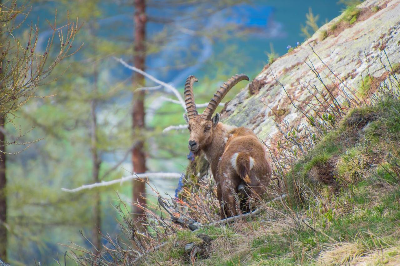 Ferienwohnungen Haus Alte Baeckerei Randa Luaran gambar